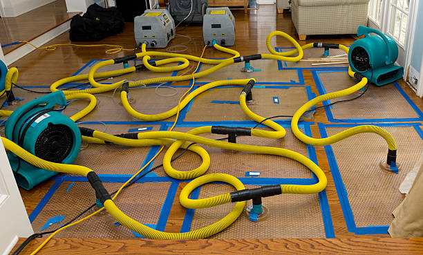 Professional Water Damage Repair technician working in Crete, IL